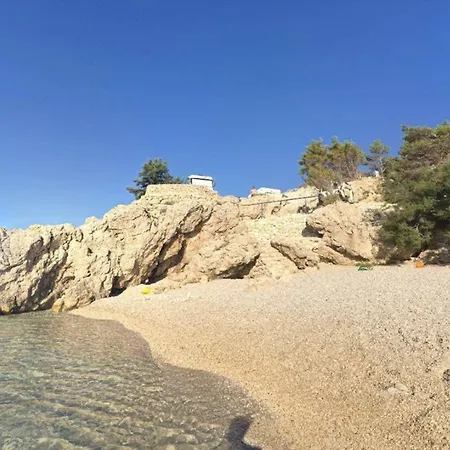 Oliva