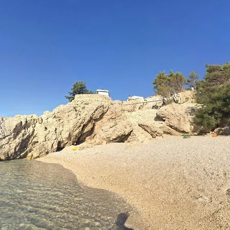 Oliva
