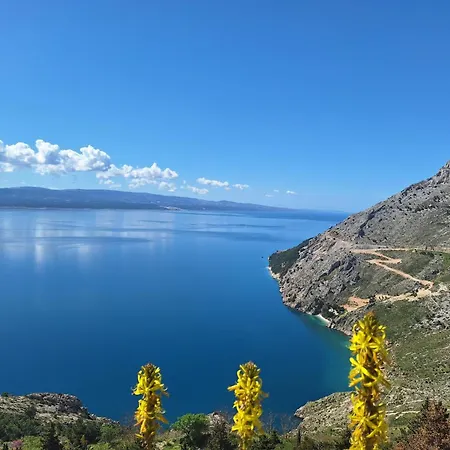 Oliva لوكفا روجوزنيكا